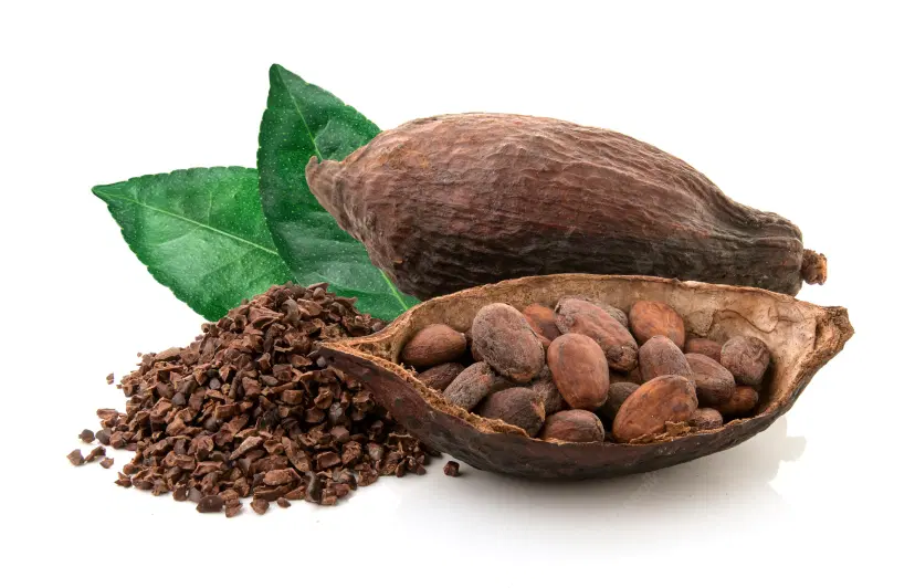Cocoa