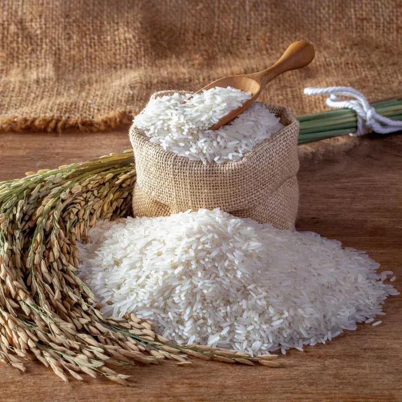 Rice