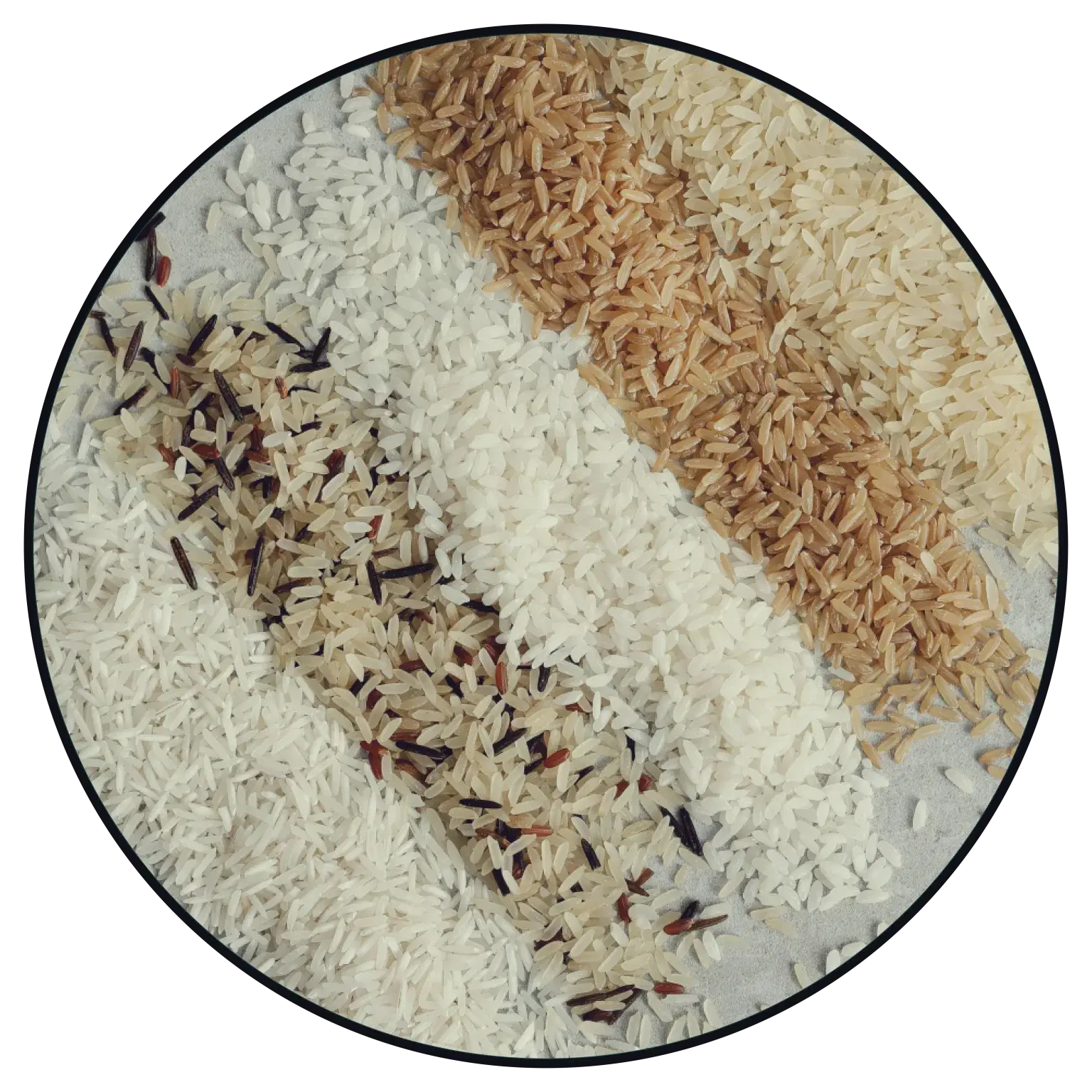 Assorted premium rice varieties