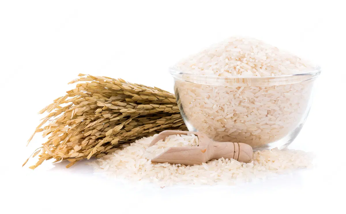 Premium Basmati Rice
