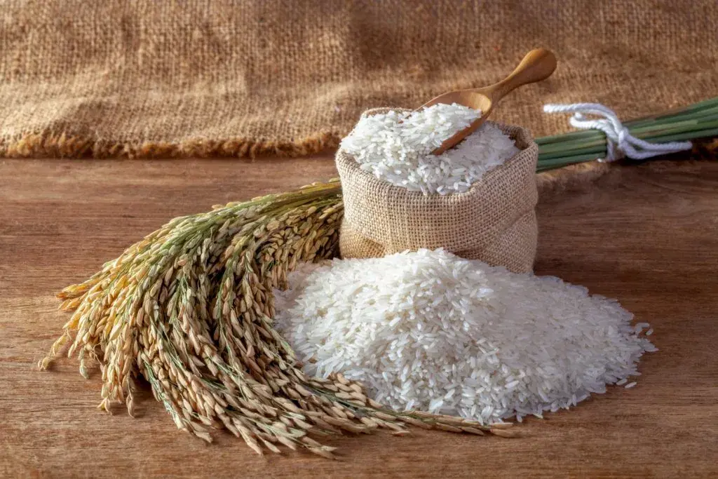 Traditional Basmati Rice